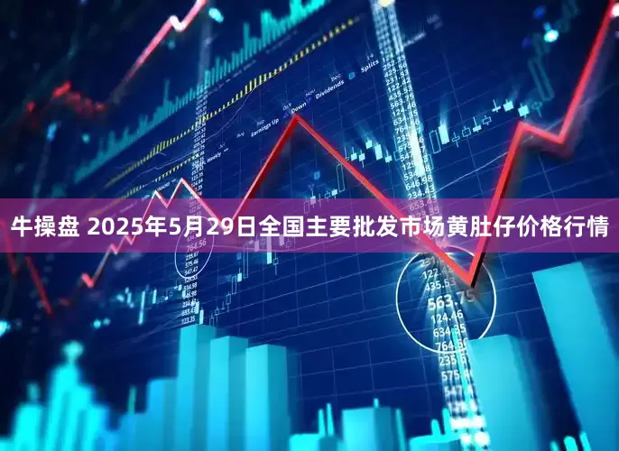 牛操盘 2025年5月29日全国主要批发市场黄肚仔价格行情