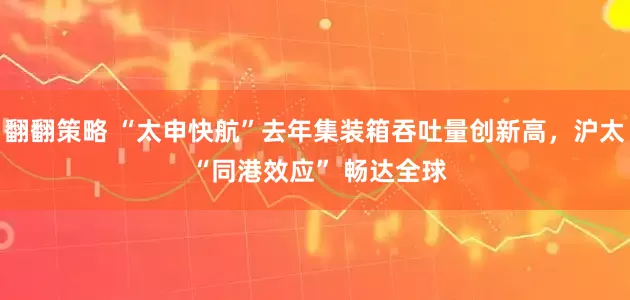 翻翻策略 “太申快航”去年集装箱吞吐量创新高，沪太 “同港效应” 畅达全球